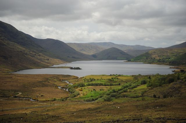 Irlandia 2008