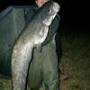 [Artykuł] Sea bass hunting - ostatni post przez Dawid@